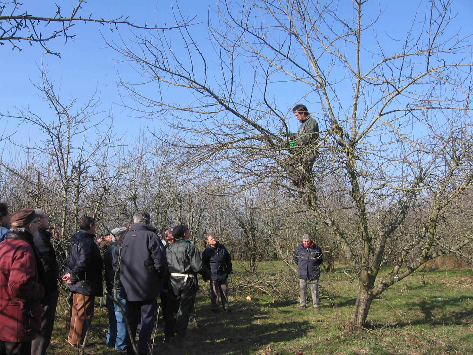 Formation sur la Taille